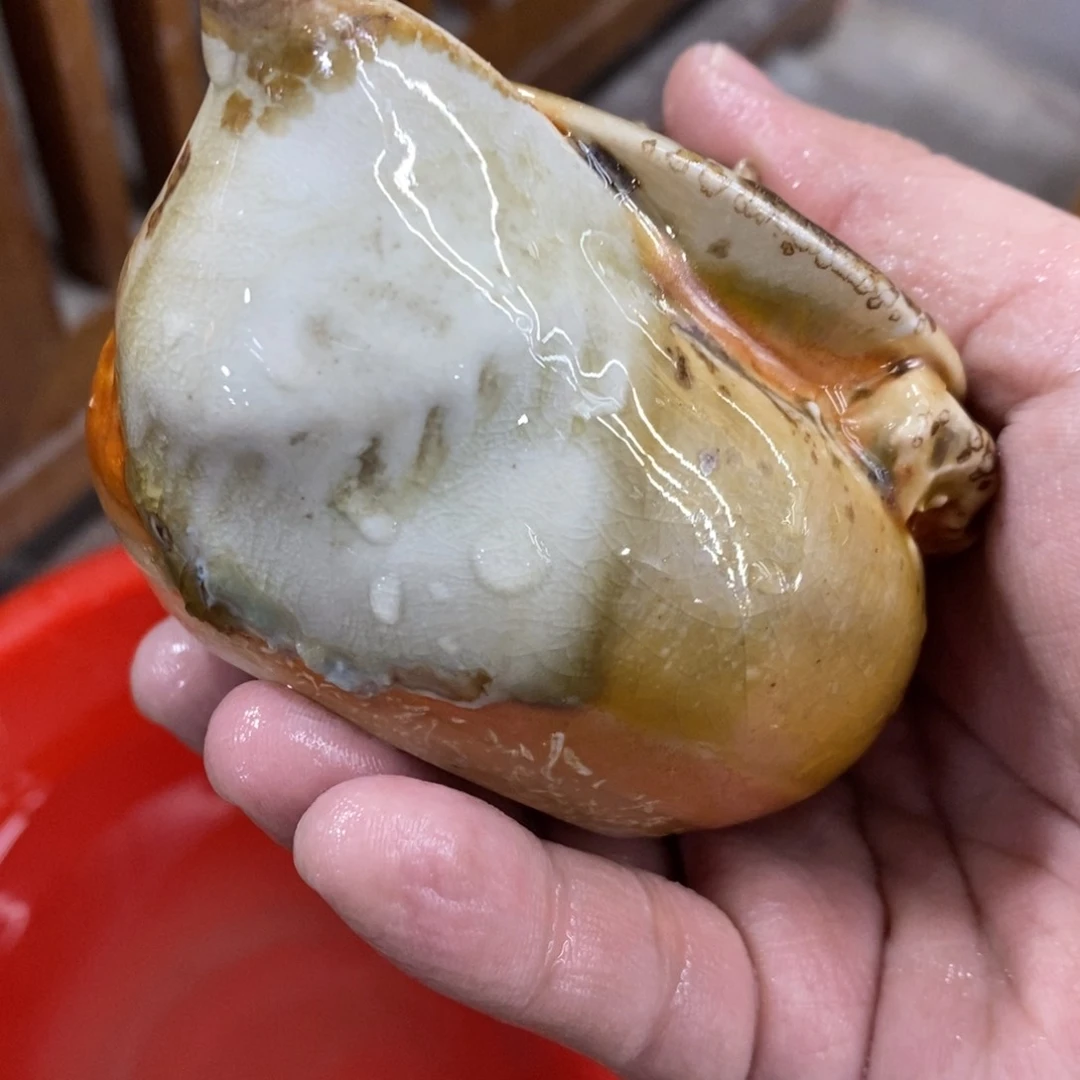 陶园柴烧，精品高货295瑕