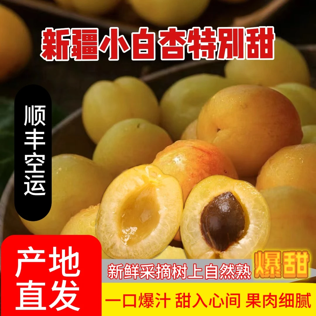新疆小白杏龟兹圣果库车杏子应季当季白杏子小红杏顺丰包邮