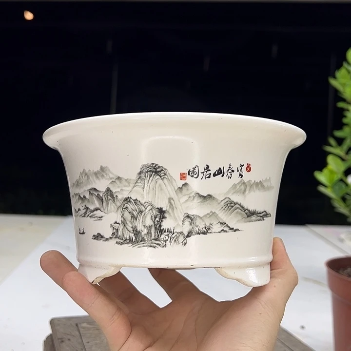 当前无花朵，栽培后可花朵盆器11111