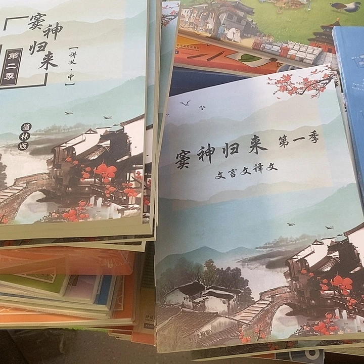 窦神归来第一季+第二季共11本全套