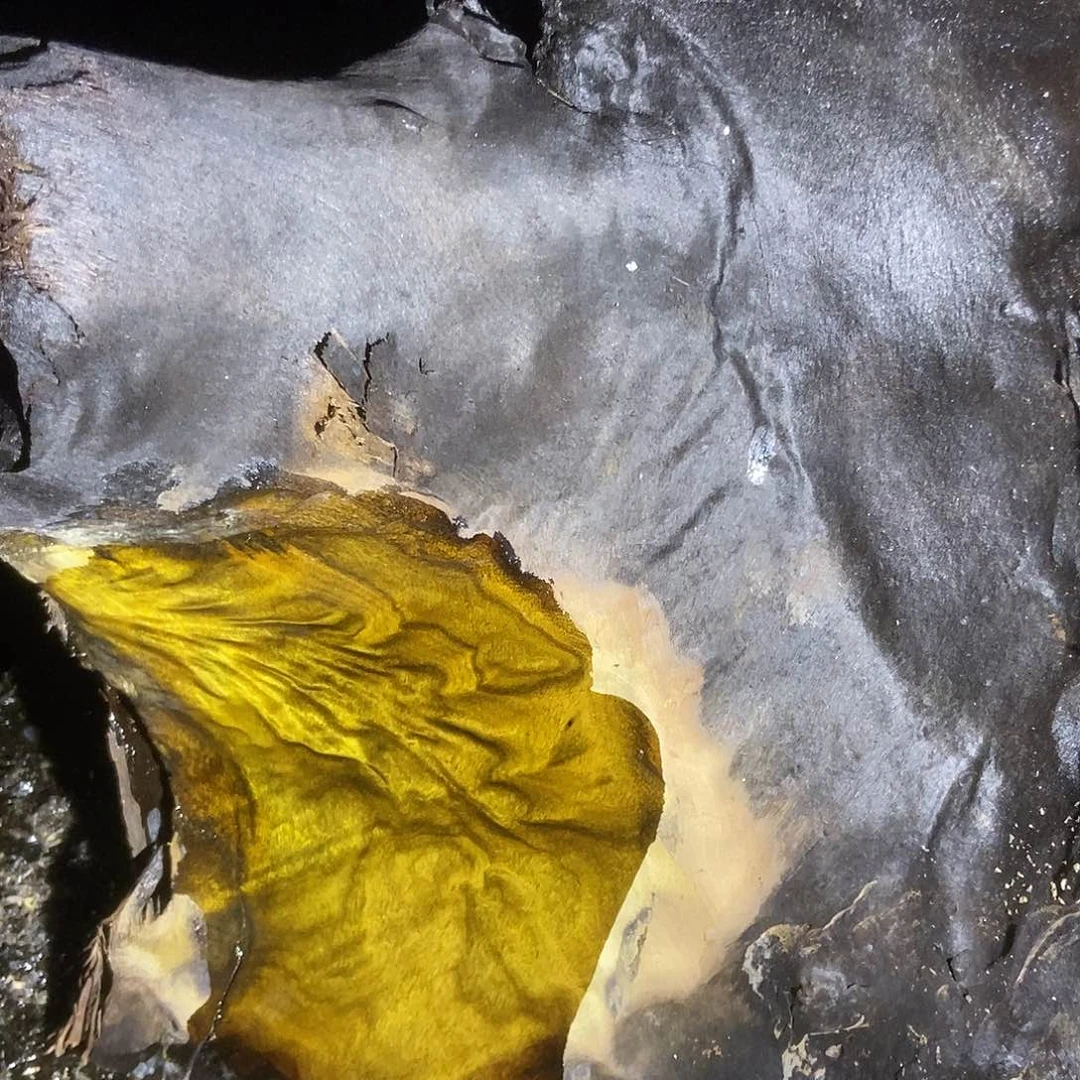 酒****盟金丝楠阴沉木毛料