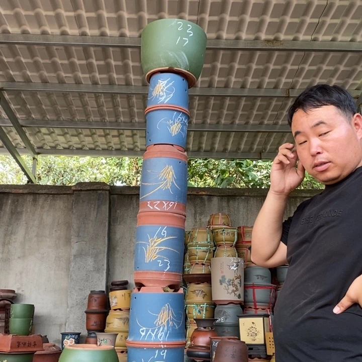 紫砂花盆盆栽花卉苗木种植