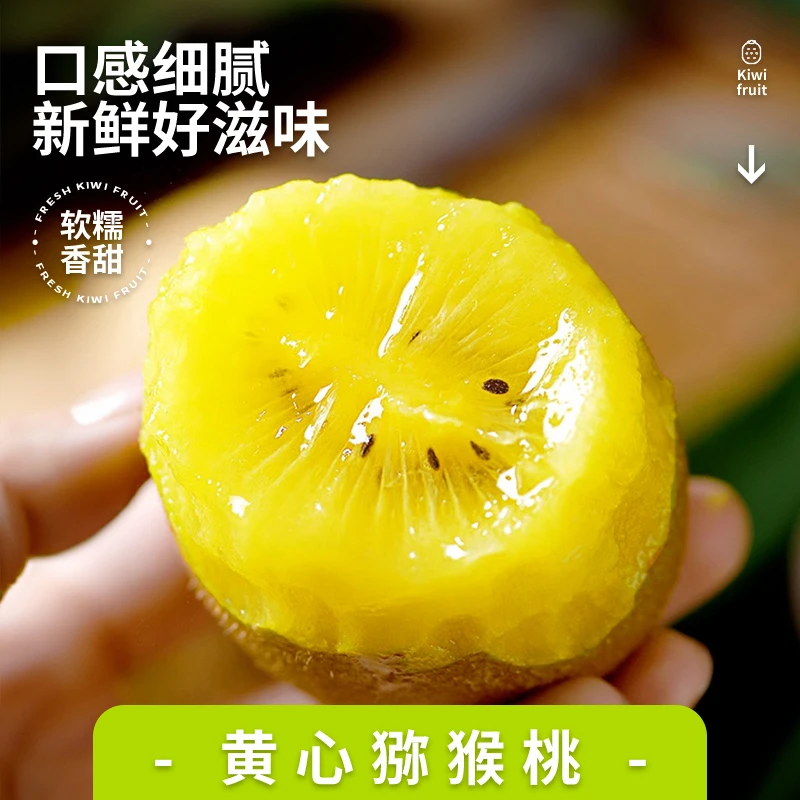 【需要催熟】黄金奇异果 四川蒲江黄心猕猴桃国产 产地现摘直发