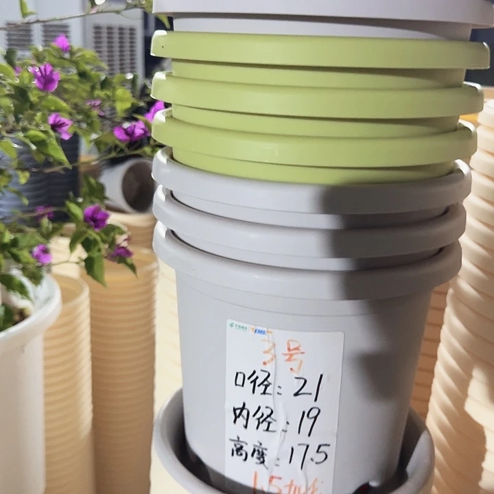 四季3号灰白无托10个特价微瑕
