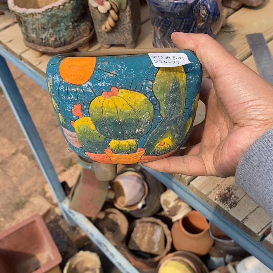 红陶z**域77号多肉盆一个呀