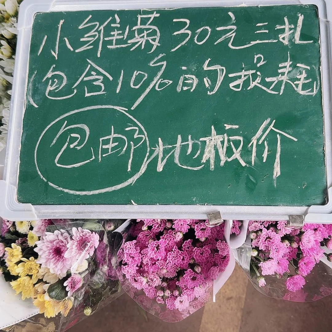 10枝/扎小雏菊,昆明直发颜色丰富花期超长性价比高