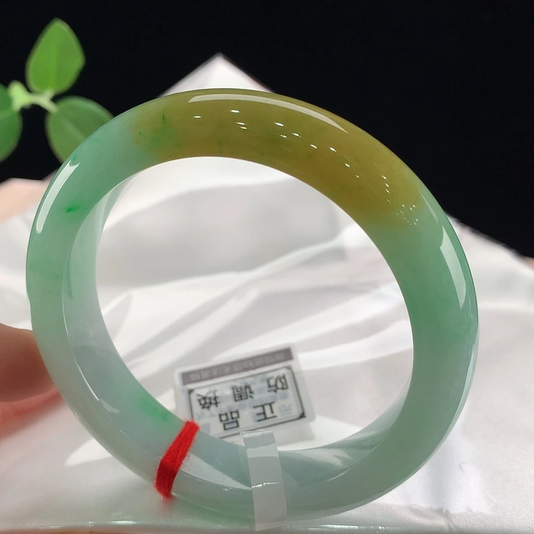 未镶嵌手镯翡翠0299