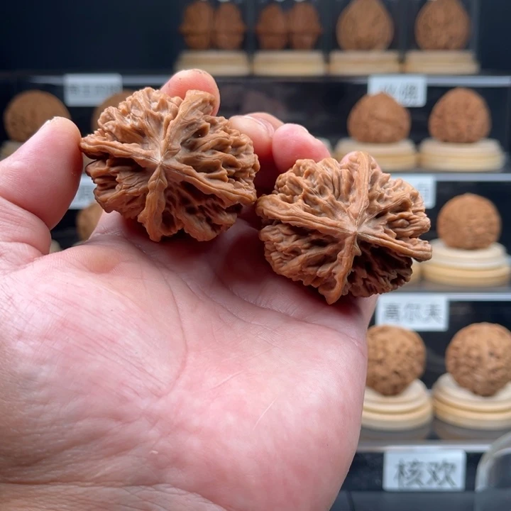 无***桐全品帝王四棱50尺寸