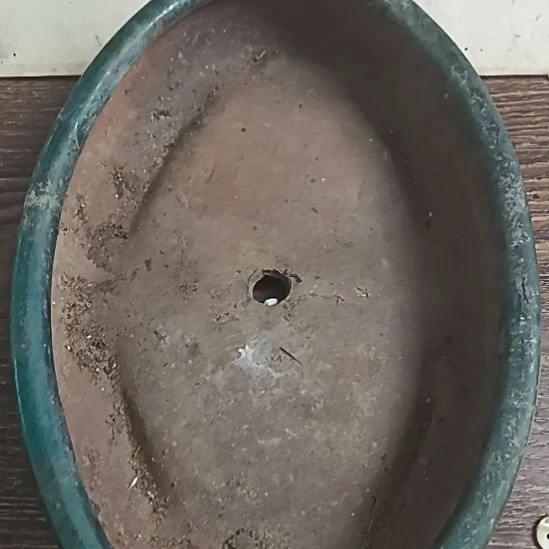 瓷片景德镇陶瓷主人杯