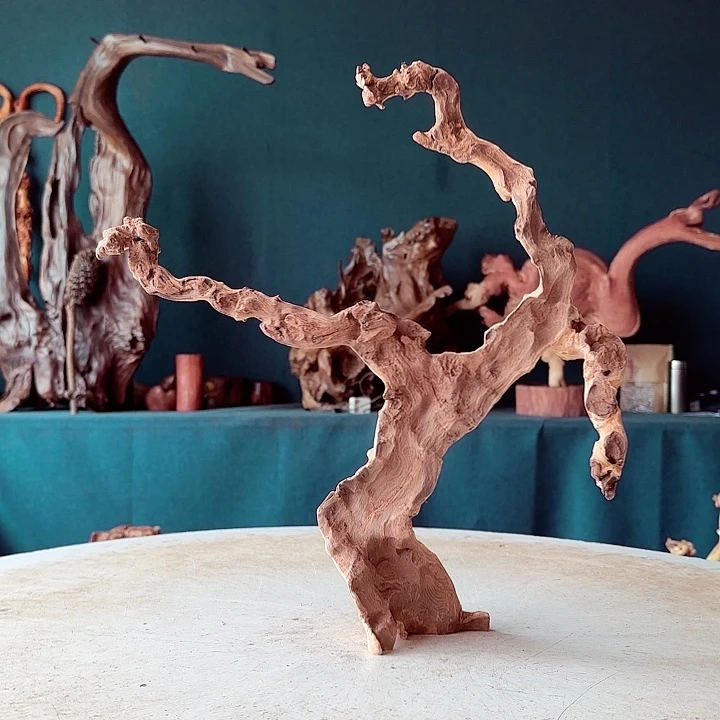 黑果木我****8857金丝红金羊半成品