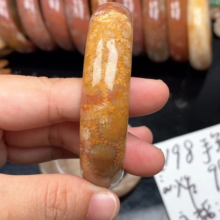 硅化珊瑚（珊瑚玉）手镯未镶嵌❄️****