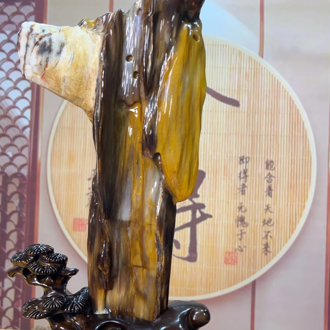 硅化玉（树化玉）未镶嵌摆件