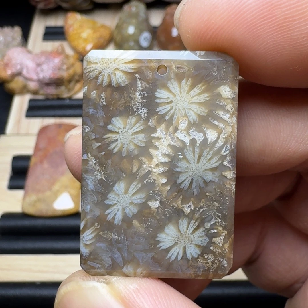 未镶嵌纯天然色有机玉石保真色硅化玉