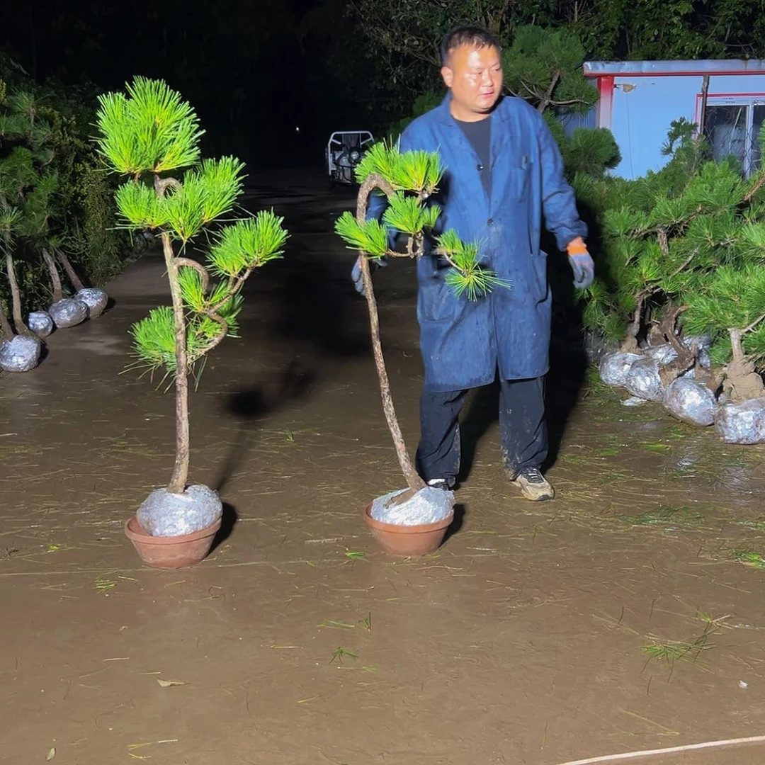 无花朵半*888888888888