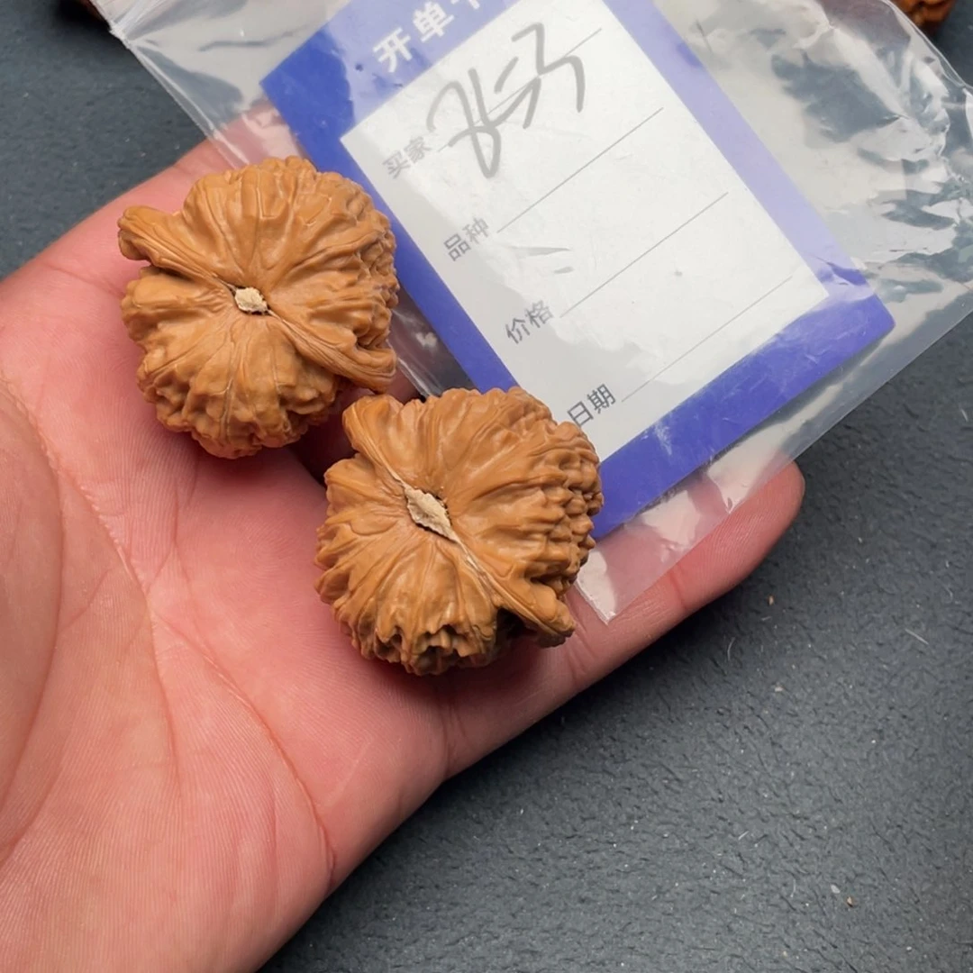 核桃把件43白狮子，853号