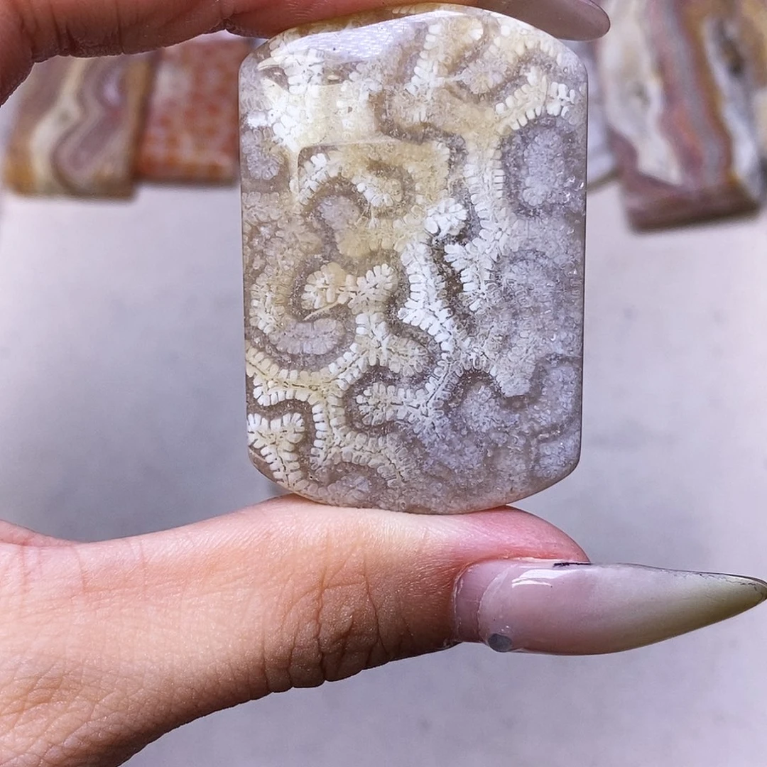 查罗石合金颈饰焯*