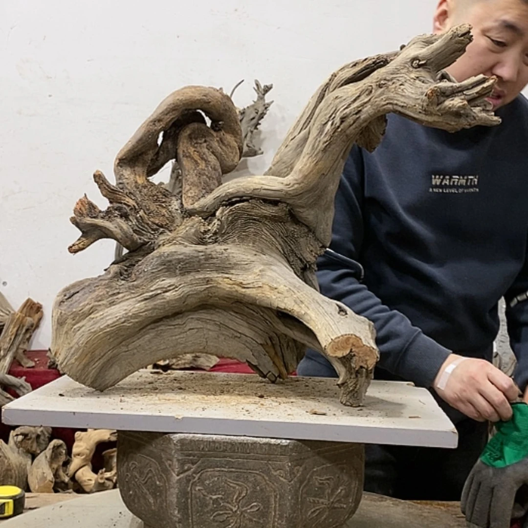 【闪购商品】柏木金*我们都是好孩子