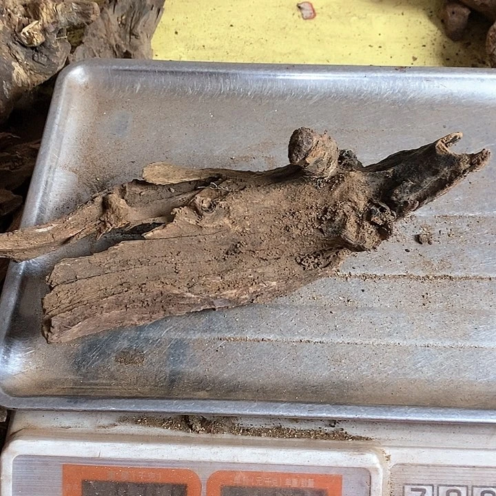 花梨木类机*海南黄花梨