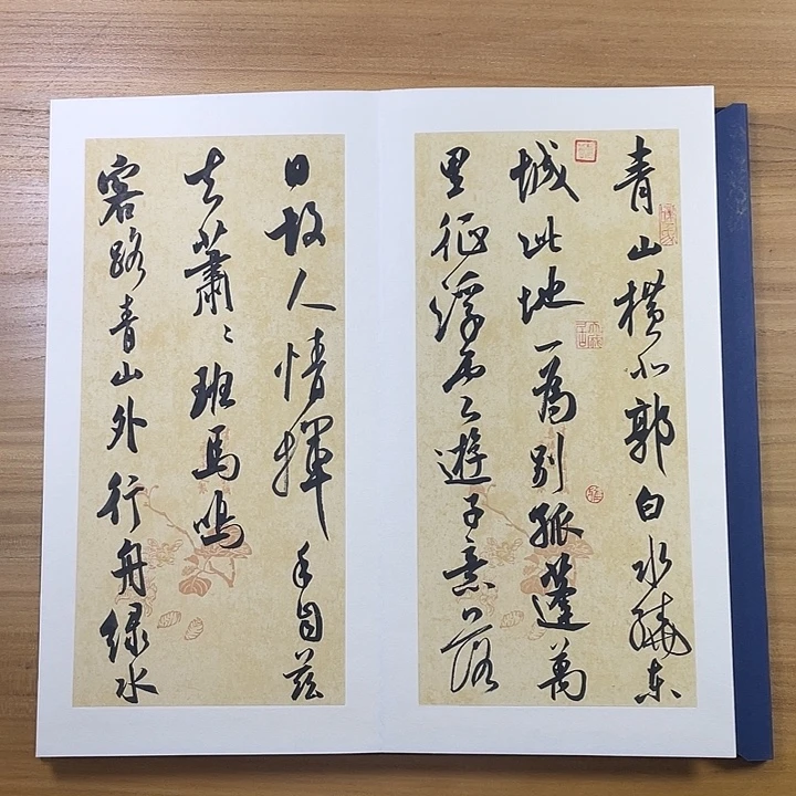 书法中书协会员作品