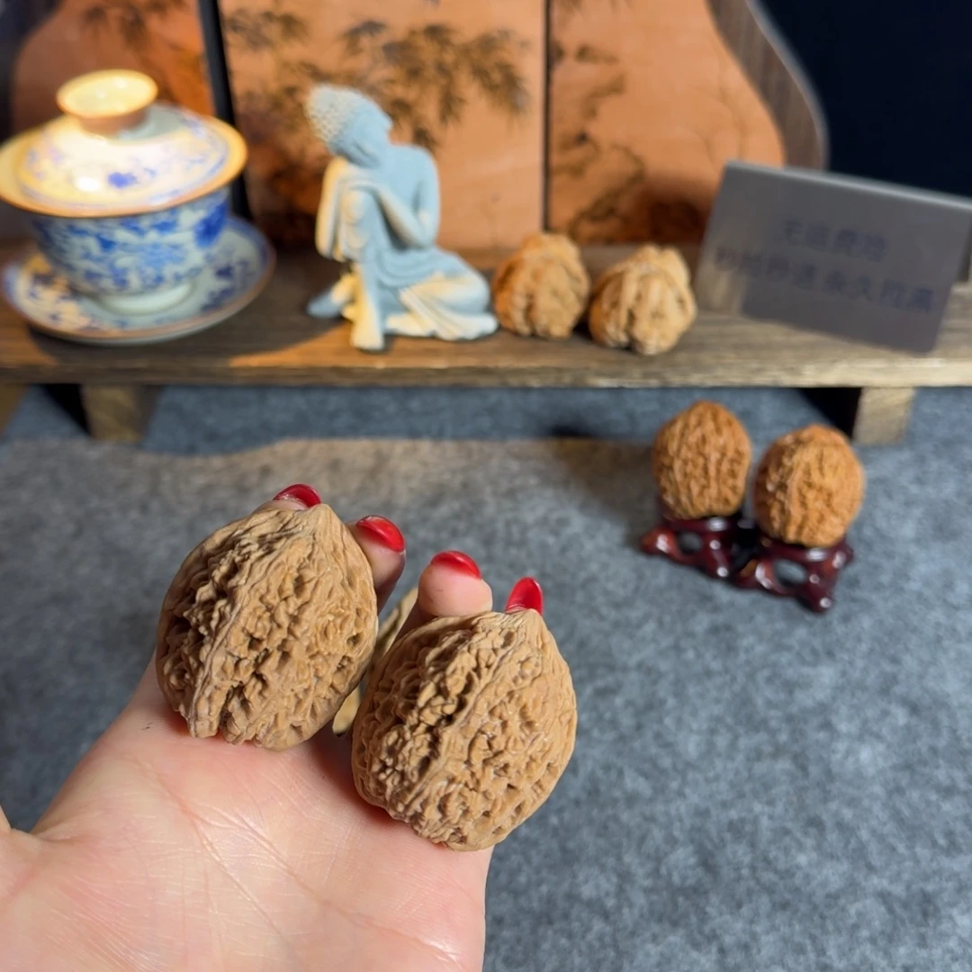 全品39大蒜头虚尖不退换