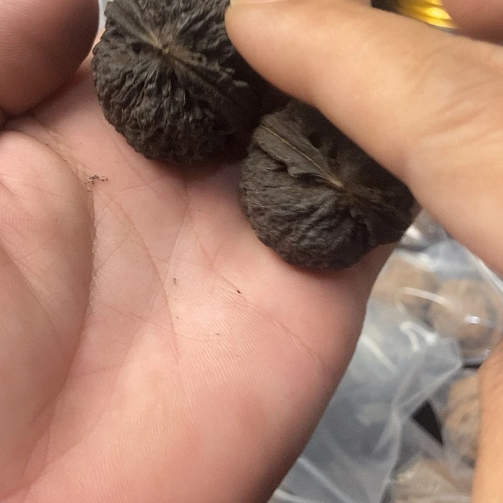 文玩核桃把件云南铁核桃基地39