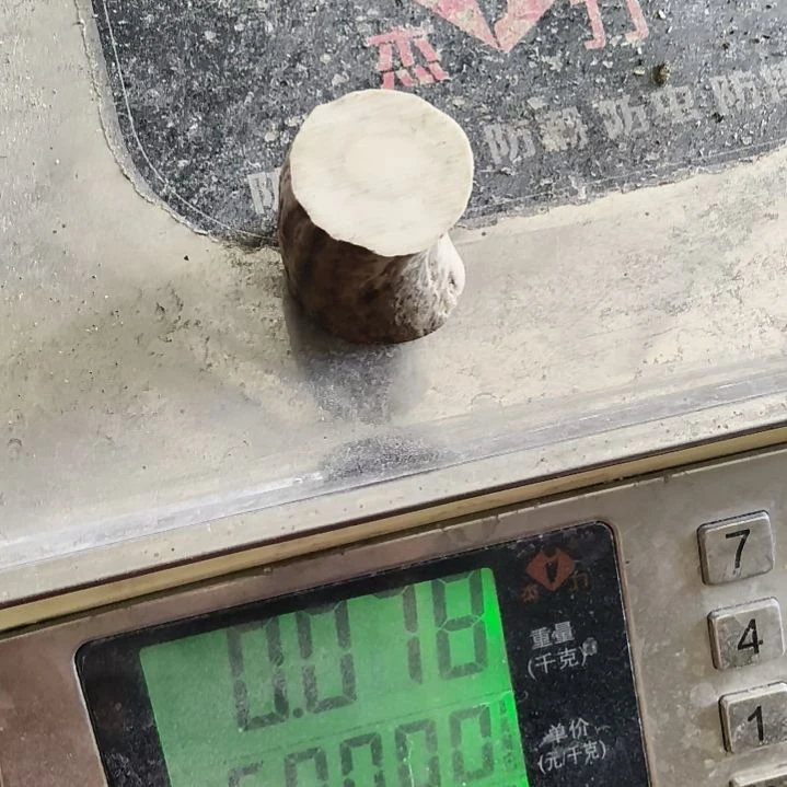 勇***钱非金属无鹿角鹿角鹿角