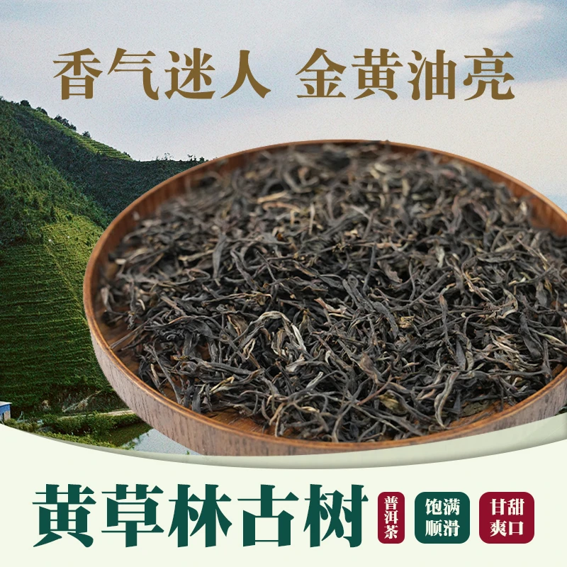 2024年 黄草林古树普洱生茶散茶100克/包L手工春茶传统手作工艺