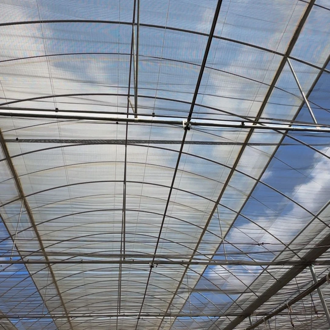 大年初二盲盒给你们