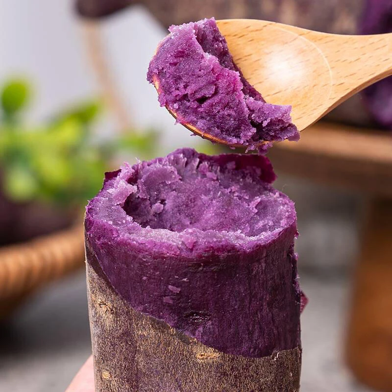 【沙地紫薯】新鲜现挖软糯香甜襄阳紫薯粗粮粉糯香甜紫罗兰紫薯