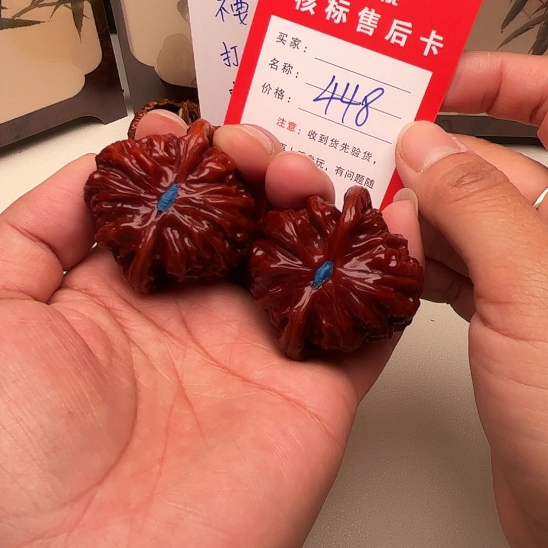 448。 42尺。 白狮子