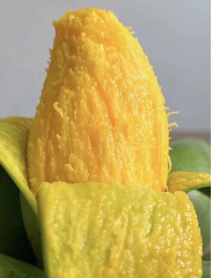 云南老树大青芒新鲜爆甜无丝薄核青皮金煌芒【生熟两吃】