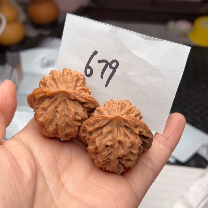 核桃41尺寸苹果园