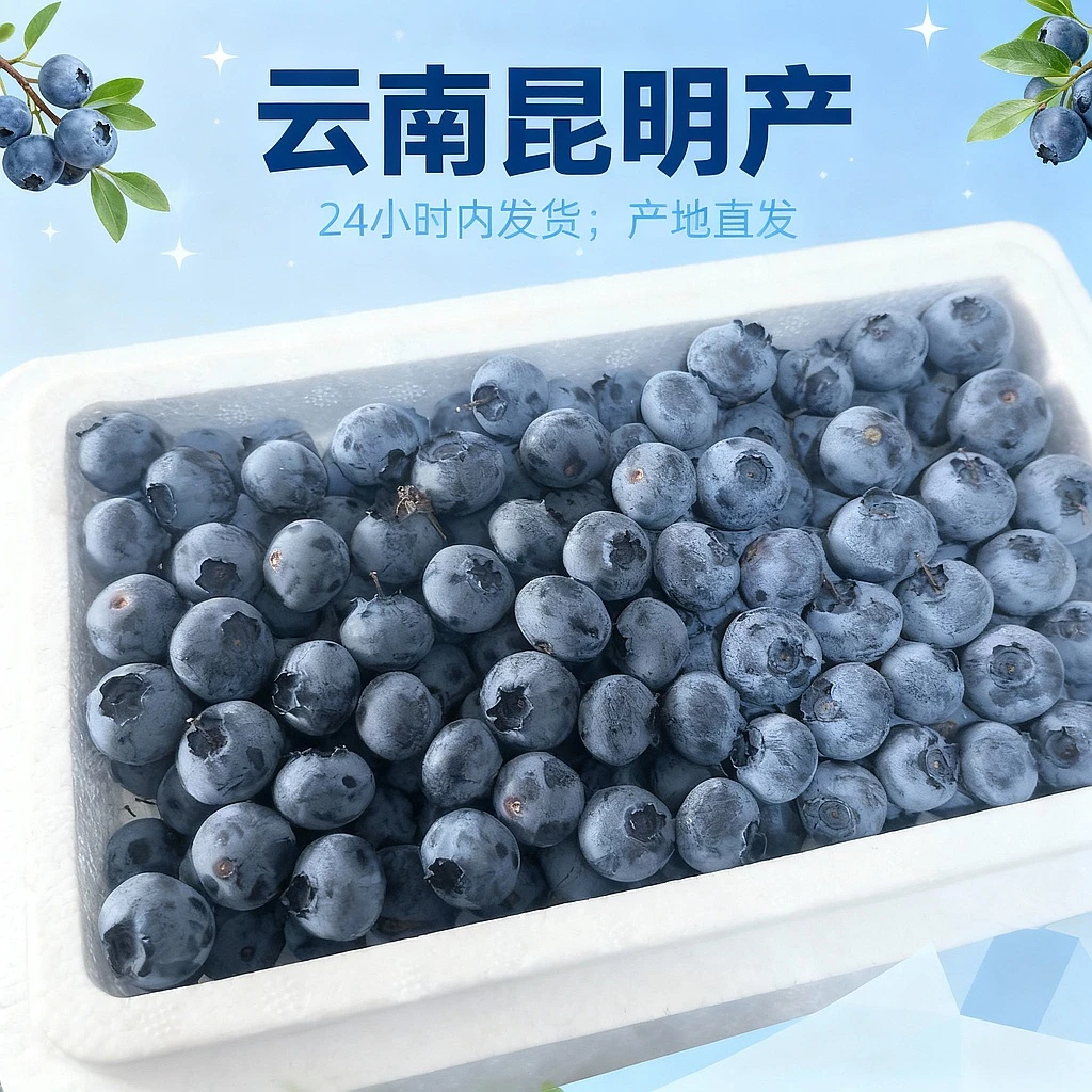 【九鼎直发】15＋云南花香泡沫箱蓝莓新鲜蓝莓