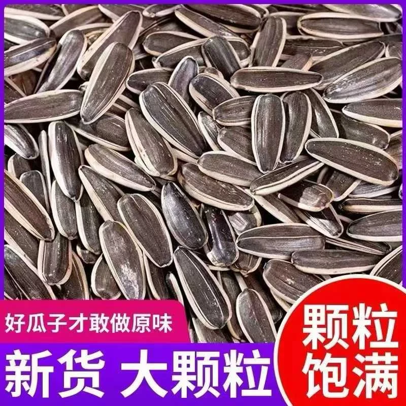 买一斤送一斤新鲜原味大颗粒炒熟葵花籽零食必备-墨