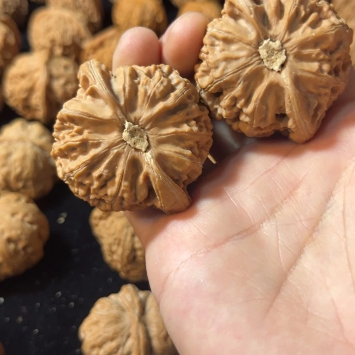 小****文玩核桃宫灯全品47