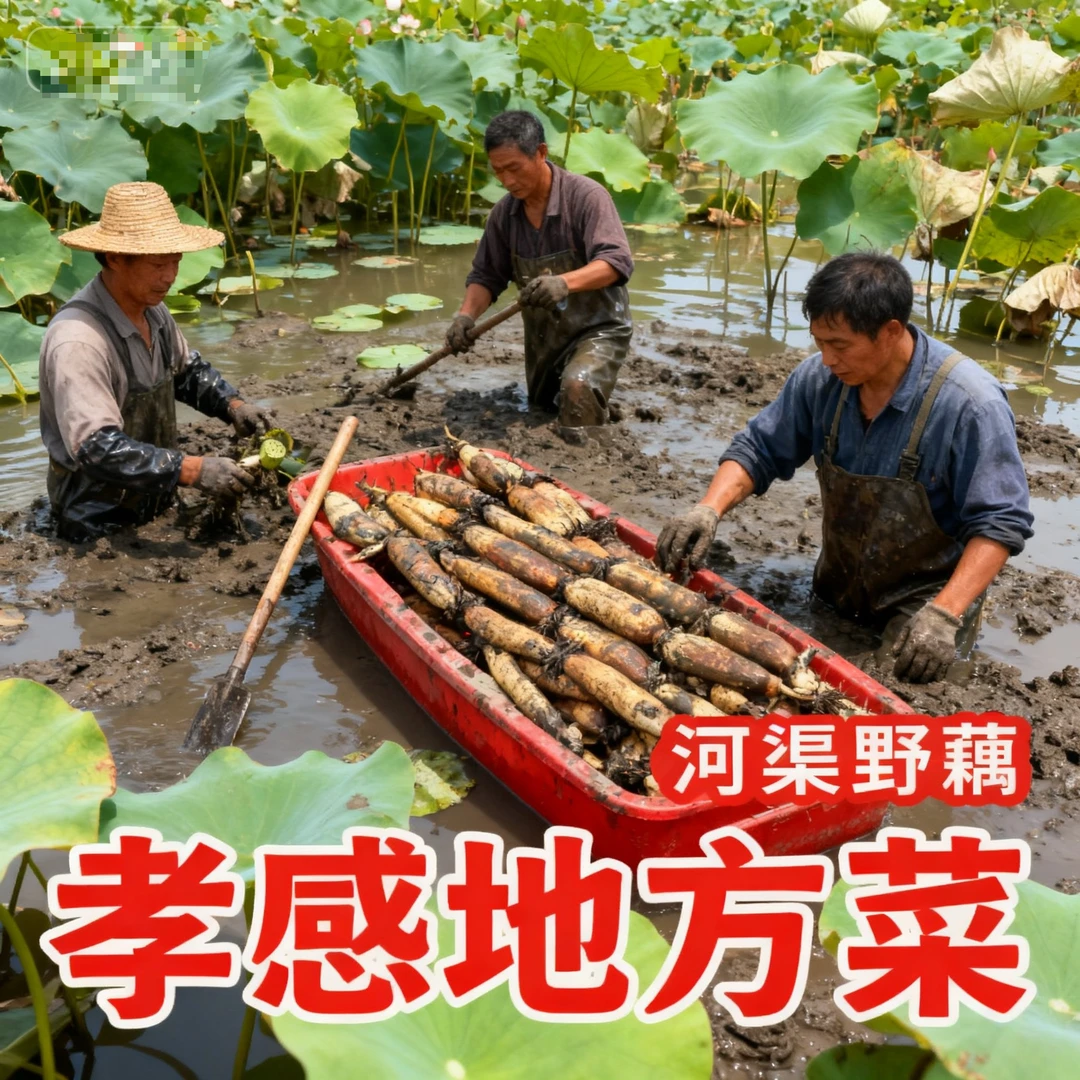 【煲汤粉藕】湖北地方特产河渠野藕煲汤粉藕