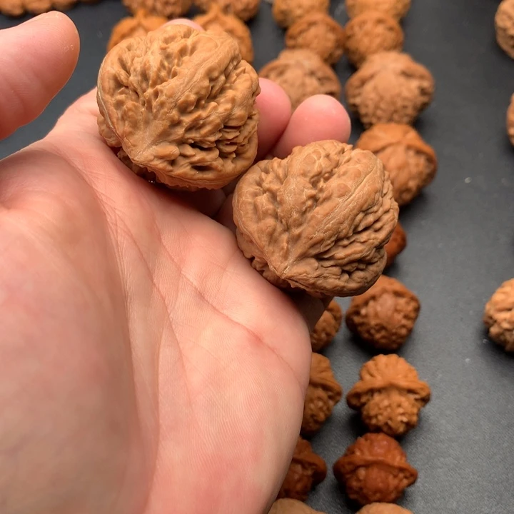 吊坠文玩核桃霸王龙