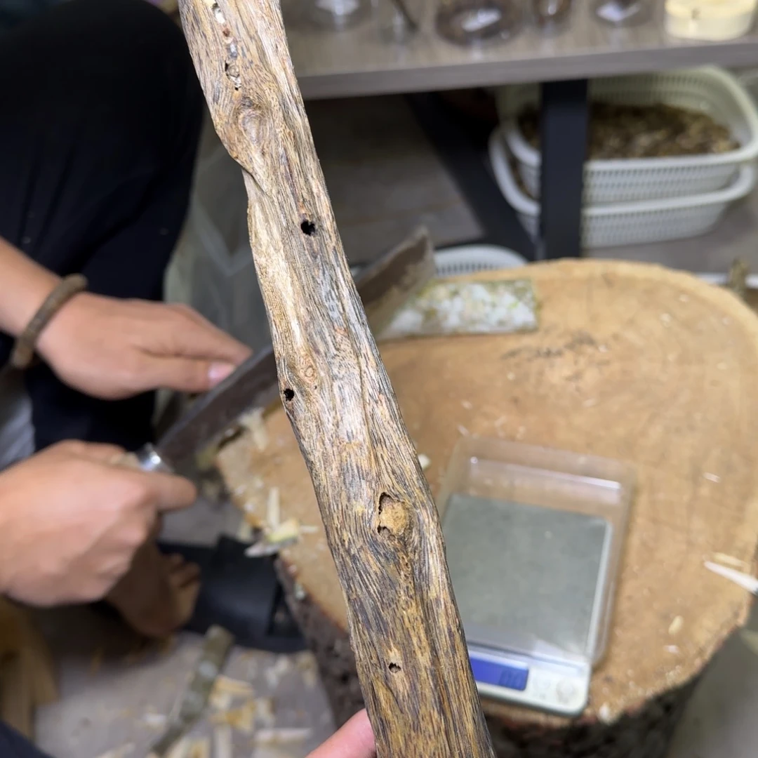 沉香紫奇虫漏发一份