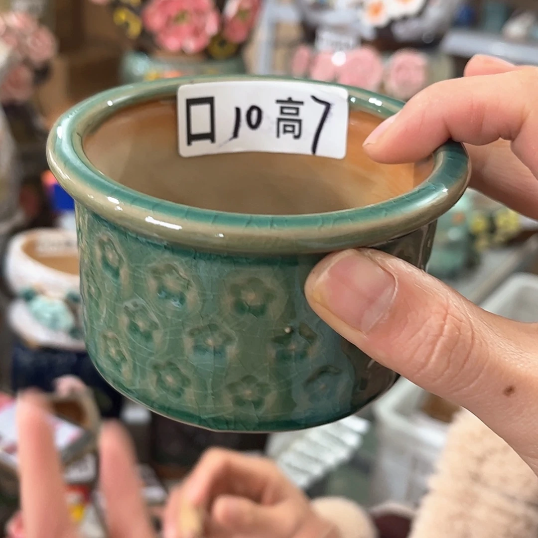 【闪购商品】红陶福利