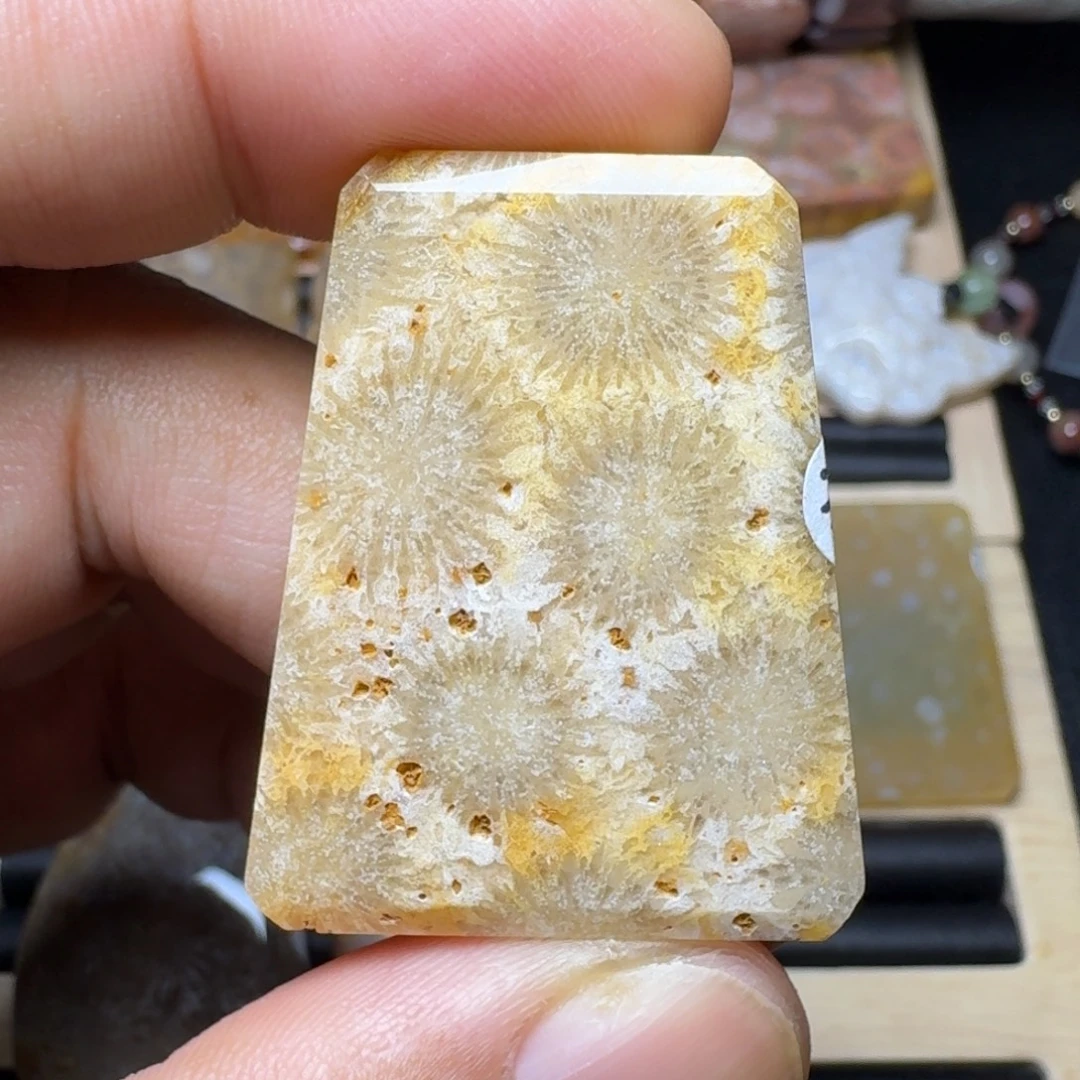 未镶嵌纯天然色有机玉石保真色硅化玉