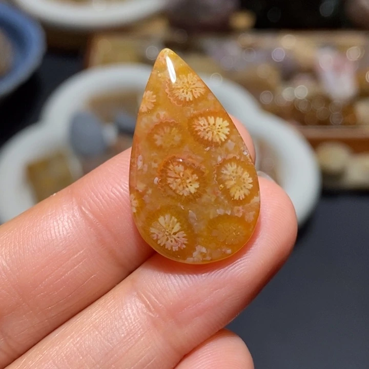 【闪购商品】未镶嵌珊瑚玉硅化玉