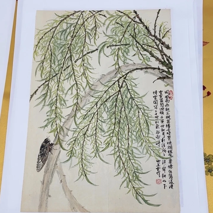 国画花鸟的翅膀是由两