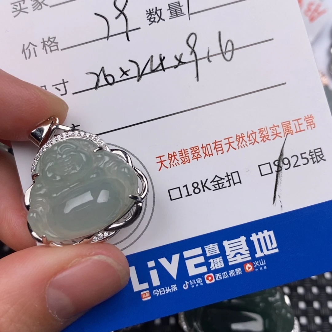 翡翠银S925镶嵌颈饰