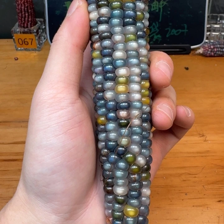 柏香籽/百香籽吊坠漫****Y