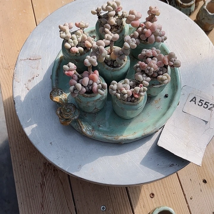 也****酸552买买买呢扭扭捏捏吗