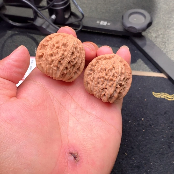 文玩核桃把件24号40全品平谷楼