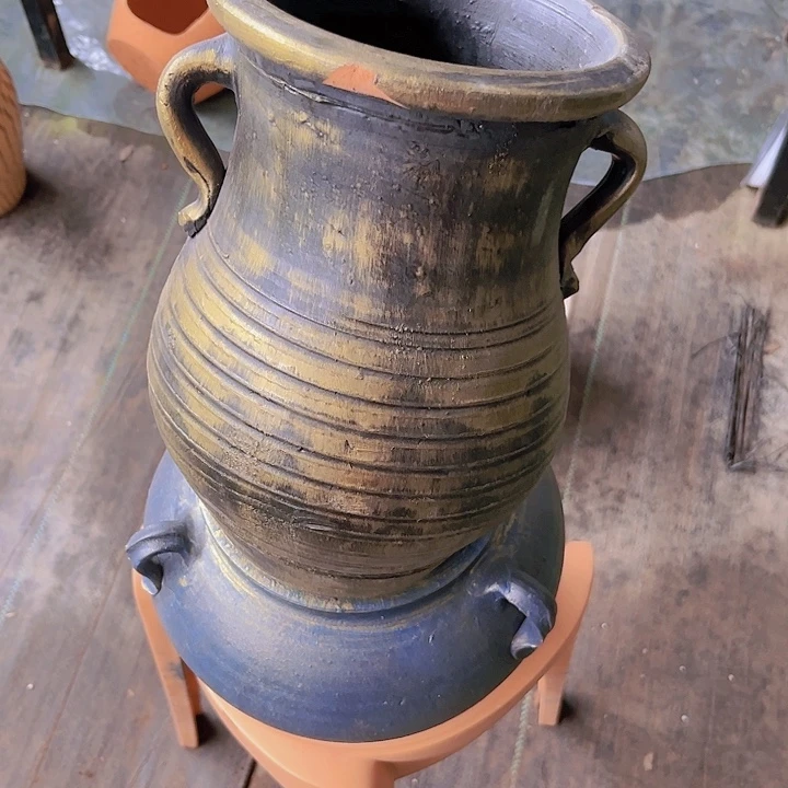 红陶366号24×16金瑕