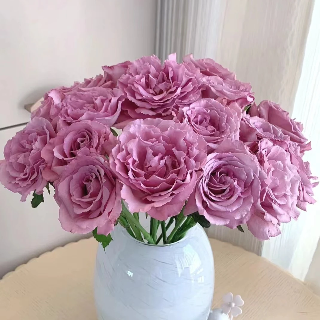 【暮光之城AK】浓香型单头玫瑰10枝  |全场任意两单鲜花包邮