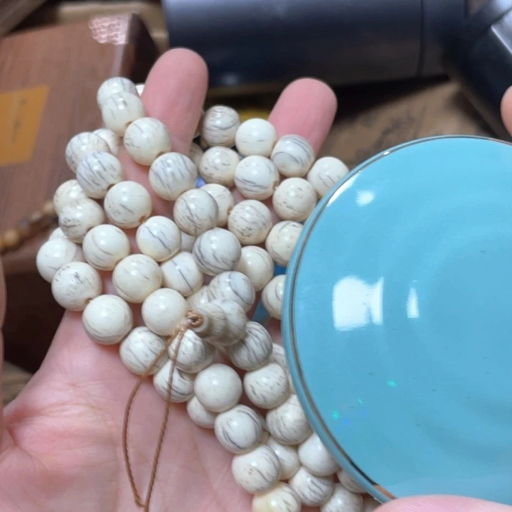 瓷片我们的生活方式是什么意思