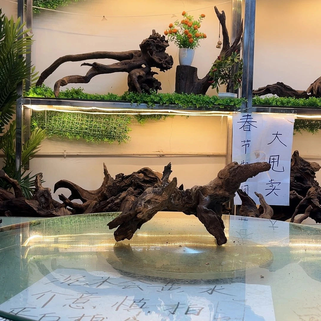 柚木桃****?沉木鱼缸造景